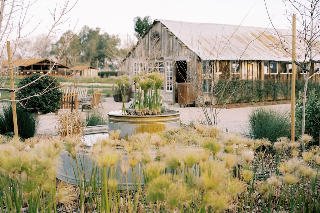 Bridal Shower Inspiration at Park Winters