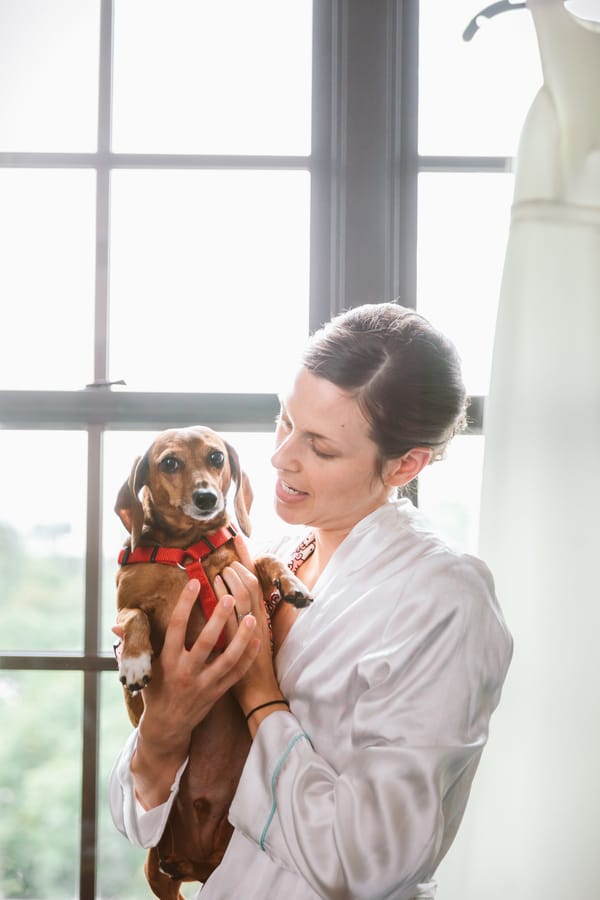 How to Include Your Dog in Your Wedding