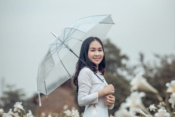 What To Do If It Rains on Your Wedding Day