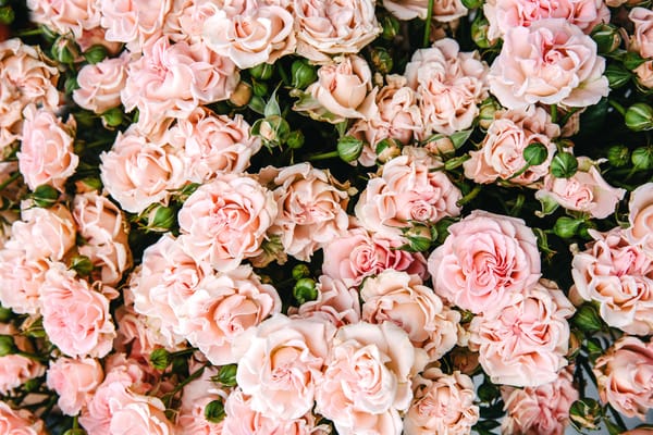 Celebrity-Inspired Wedding Florals